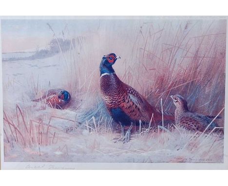 After Archibald Thorburn, (1860-1935), Pheasants and Grouse amongst reeds, lithograph print, Published by A. Baird Carter, 70