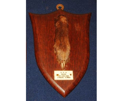 * An early 20th century taxidermy Fox (Vulpes vulpes) pad, mounted on an oak shield, bearing a plaque annotated S.D.H. Killed