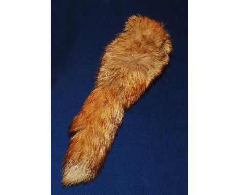 * A taxidermy Fox (Vulpes vulpes) brush, L.34cm.Condition report: From ‘A Broad Collection from a lifetime by The Broads’ - a
