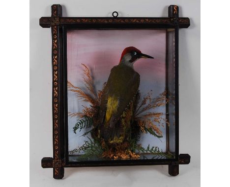 * A taxidermy Green Woodpecker (Picus viridis), mounted on a branch amongst foliage against a painted background, within a pi