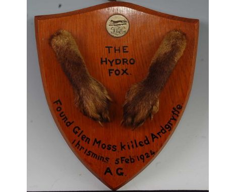 * A pair of early 20th century taxidermy Fox (Vulpes vulpes) pads, mounted on an oak shield annotated, "The Hydro Fox Found G