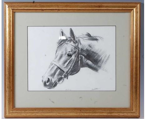 Frank Wooton, (1911-1998), Portrait of Derby Winner Blakeney, black chalk on paper, signed and titled, 22 x 30cm.