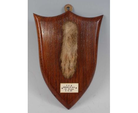 * An early 20th century taxidermy Fox (Vulpes vulpes) pad, mounted on an oak shield with ivorine plaque T.F.B. Bridge of Aln 