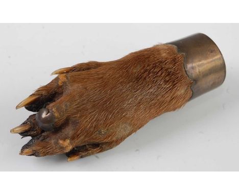 * A taxidermy Otter (Lutra lutra) pad brooch, having an unmarked white metal mount and clasp, 8cm.Condition report: From ‘A B