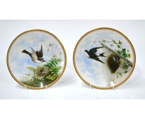 Two Spode or Davenport plates; each one painted with nesting birds, 23 cm diameter, and with a bee-hive shaped impressed mark