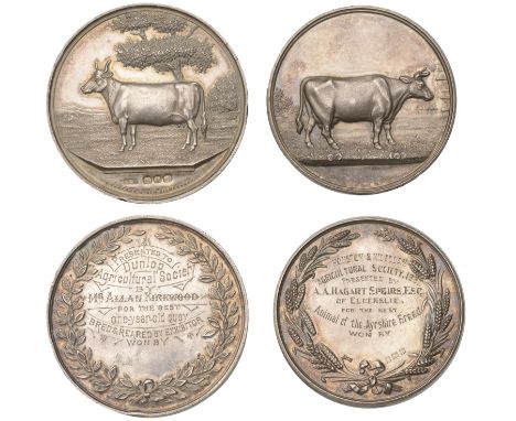 Dunlop Agricultural Society, a silver prize medal by J. Cameron & Son, rev. named (Presented to Dunlop Agricultural Society b