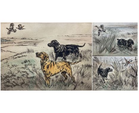 Henry Wilkinson (British 1921-2011): Labradors and Spaniels Chasing Ducks, set three coloured drypoint etchings signed and nu