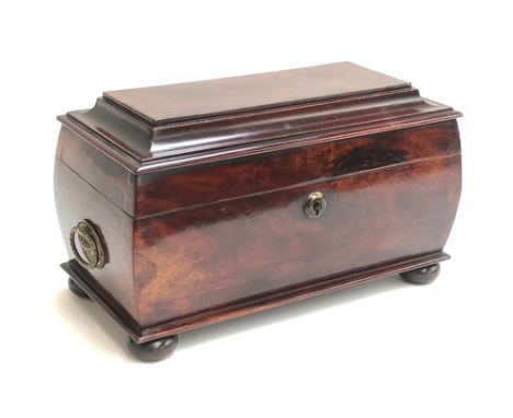 A Regency mahogany sarcophagus tea caddy, twin carry handles, on turned feet, vacant interior, 32cm wide 