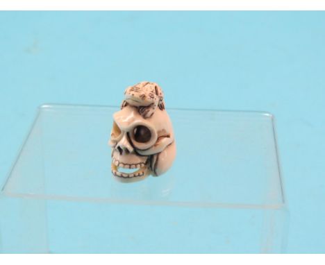 An ivory netsuke, frog seated upon a skull, signed, 1.25in.  Shipping arrangements limited.  Buyer beware SEE ILLUSTRATION