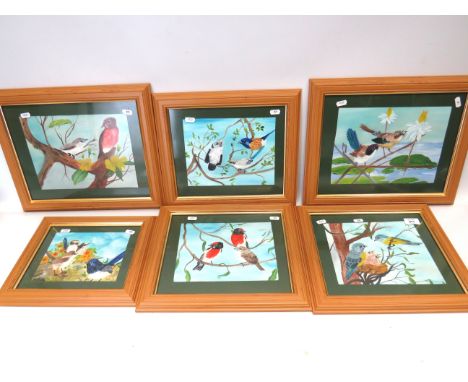 Six Framed and mounted Cheerful and Colourful paintings of Birds by amature Artists. Each housed in Light Oak Frame which mea