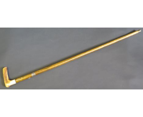 A Walking Stick with Bone Handle 