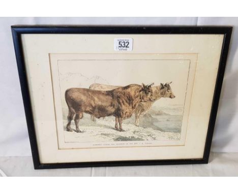 HAND COLOURED ANTIQUE PRINT OF GUERNSEY CATTLE, PROPERTY OF THE LATE J R WATSON INDISTINCTLY SIGNED, 12” X 15”