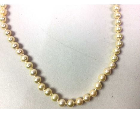 SINGLE STRAND CULTURED PEARL NECKLACE,  with nine carat yellow gold clasp, in Mikimoto branded box  47cm long   Clasp marked 