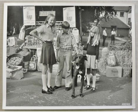 Scene Photograph: The Copter Kids, 1976, 11" x 8.5". Starring Vic Armstrong, Michael Balfour and Mark Boyle. Directed by Rona
