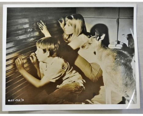 Scene Photograph: The Intruders, 11" x 8.5". On the back is a printed description of the scene and the copyright stamp of the