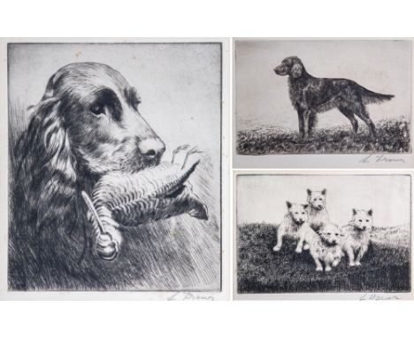  Two etchings of hunting dogs by the same hand, signed indistinctly, comprising one of an Irish Setter, 4½ x 6¼in. (11.4 x 15