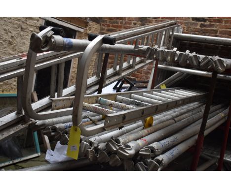 3.3m Roof Ladder  