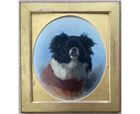 George Earl 1824-1908. British. Oil on board. “Portrait of a Pekingese Dog”Measures 45cm x 63cmCondition Report – Very good c