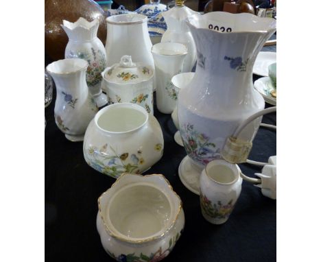 Large quantity of Aynsley ceramics, mainly Wild Tudor design,&nbsp; Cottage Garden etc including lamp