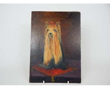 An unframed oil on board portrait of a Yorkshire Terrier with a bow in it's hair, signed J.R.S, 25.5 x 18cm.