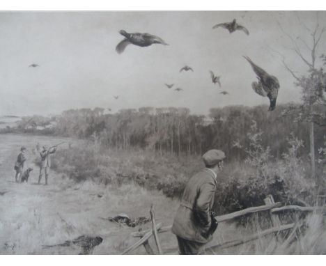 A 1908 print depicting pheasants