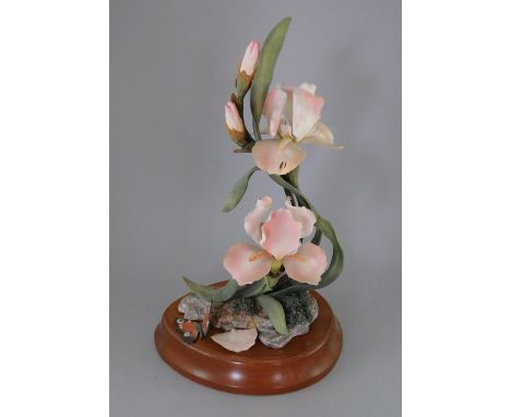 A Royal Worcester Ornamental Studio series Iris group. Limited edition of 150, number 66. With wooden stand. Factory mark to 