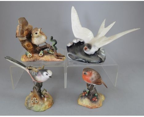 A group of Royal Crown Derby, Fine Bone China bird figures. To include: Robin, Thrush Chicks, Long-tailed Tit and a Tern. Fac