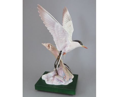An Albany Fine China Co. ceramic bird study incorporating metal. Modelled as an Arctic Tern by David Burnham-Smith. Factory m