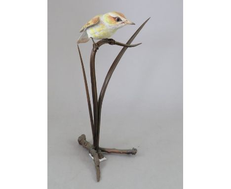 An Albany Fine China Co. ceramic bird study incorporating metal. Modelled as a Warbler. Factory mark to metal base. 20 cm tal