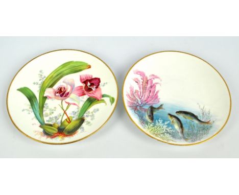 Two Minton cabinet plates, one decorated with chub in a naturalistic setting (2).   CONDITION REPORT:  Fish plate: Dull and h