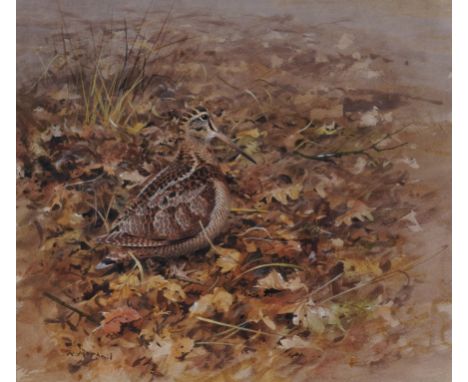 RODGER MCPHAIL (BRITISH, B. 1953)Woodcock
signed 'R McPhail' (lower left)
watercolour
33.5 x 38cm
ARR

Provenance
Private col