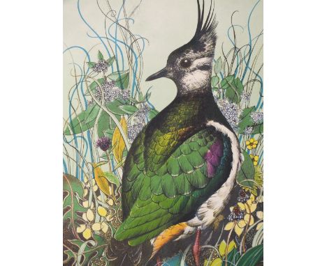 MICHAEL WARREN (b.1950). Study of a lapwing in undergrowth, signed in pencil lower right, limited edition coloured lithograph