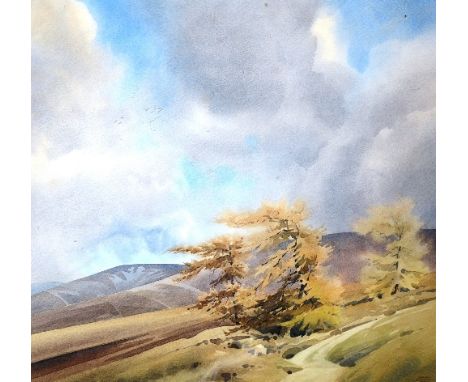 Graham Buchanan-Dunlop (Contemporary)
'Larches'
Watercolour, signed lower right, 44 x 43cm