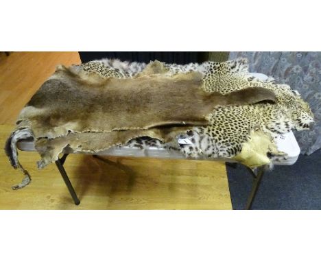 A vintage leopard skin pelt/rug, 184cm long, together with two vintage beaver skin pelts, 137cm & 109cm long (3)