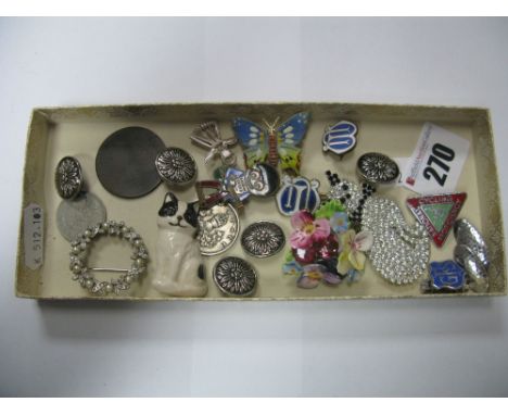 A Golden Shred Golly Enamel Badge, diamanté and other cat brooches, coins, etc. 