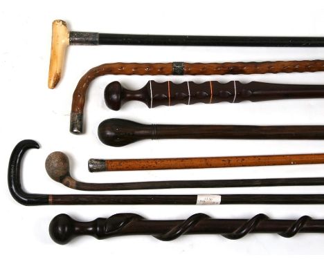 An Edwardian ebonised walking cane with bone handle; together with a holly wood walking stick; and other walking sticks.