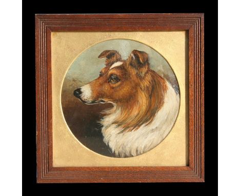 Victorian school - Portrait of a Collie Dog - oil on board, framed &amp; glazed, 19cms (7.5ins) diameter.