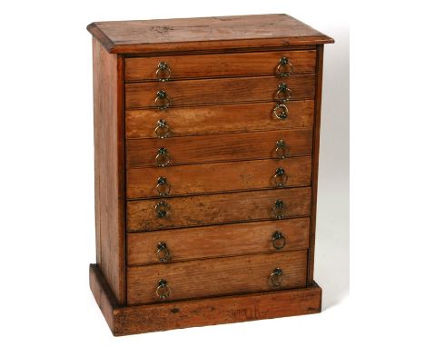 A pine collector's cabinet with eight graduated drawers, on a plinth base, 48cms (19ins) wide. 27cm deep.  64cm highCondition