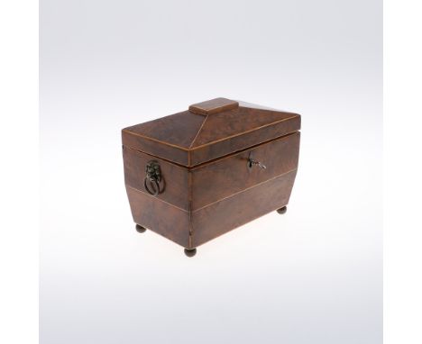 AN 18TH CENTURY YEW WOOD TEA CADDY. of sarcophagus form with brass lion ring handles to the sides, the interior with joined l