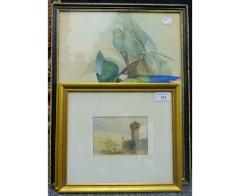 Two 19th century watercolours, and a print of exotic birds, each framed and glazed.  The latter 36 x 47 cm. 