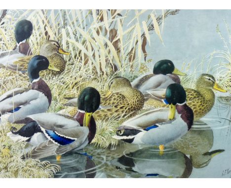 CHARLES FREDERICK TUNNICLIFFE limited edition (173/500) coloured print - study of ducks on the water’s edge, signed, 17.5 x 2