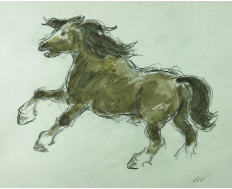 SIR KYFFIN WILLIAMS RA pencil and colourwash - study of a prancing Welsh Cob, signed with initials, 11.5 x 13.25 ins (29 x 34