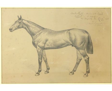Basil Nightingale (1864-1940),
a study of a hound,
signed and dated 1895,
pencil drawing,
22 x 28.5 cm,
together with two oth