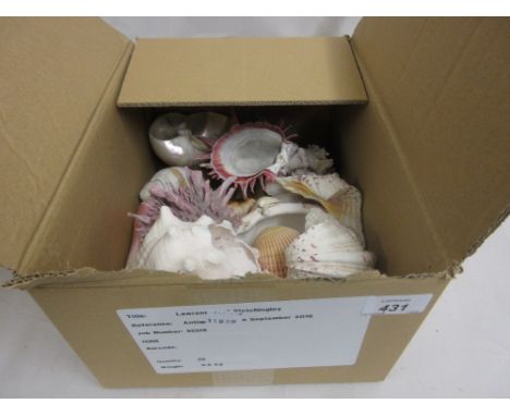 Small collection of miscellaneous seashells together with a mother of pearl vase constructed from seashells