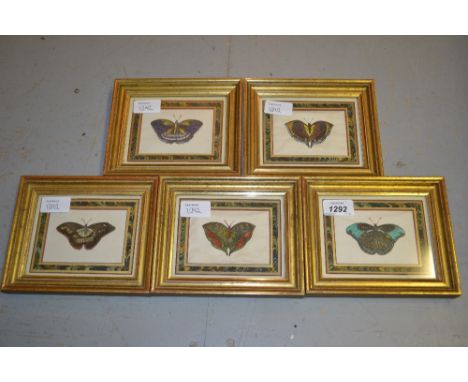 Set of five small gilt framed watercolours on print bases of butterflies