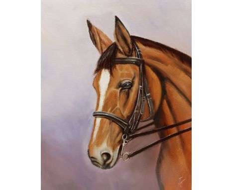 Joe Townend GRA (British 1946-): Portrait of a Bay Horse, oil on canvas signed with initials 50cm x 40cm (unframed)Click here