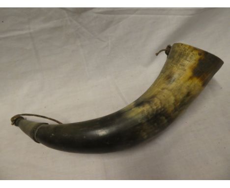 A large 19th Century natural cow horn powder flask with wooden stopper 17" long
