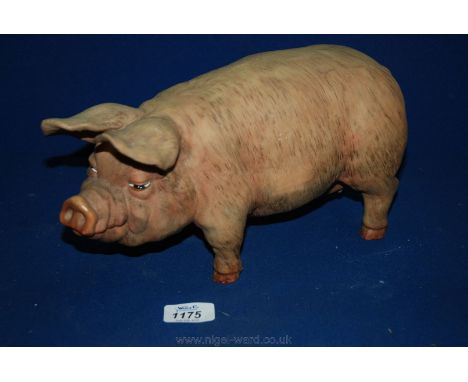 A vintage plastic Sow from a Butchers Shop, 30 x 15 cms.