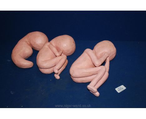 Three vintage Midwifery models of a Foetus. 