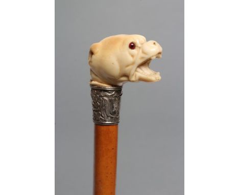 A VICTORIAN MALACCA WALKING CANE, the ivory grip carved as a mastiff's head with glass eyes, white metal collar repousse with